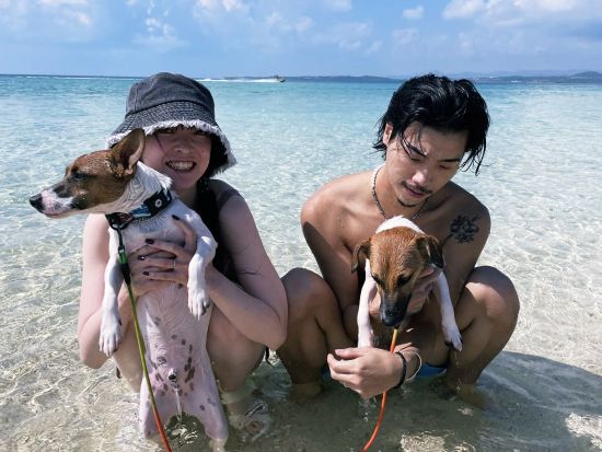 幻の島上陸+体験ダイビングツアー 数々のCM撮影地ともなったロケーション抜群の無人島でダイビング＜半日／石垣島発＞