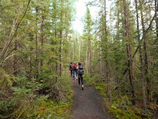 イエローナイフ　キャメロン滝ハイキングツアー ＜8～11月／日本語または英語ガイド＞