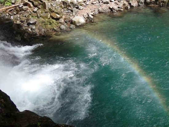 伊豆 キャニオニング体験！ 滑って、飛んで大自然を満喫＜半日／4～10月／静岡／駅送迎可＞