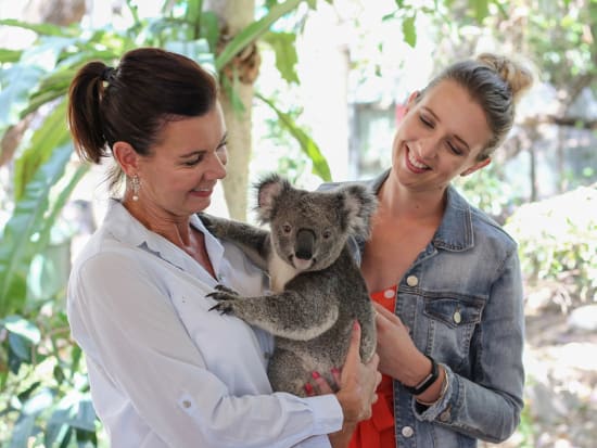 【入場チケット】ローンパイン・コアラ・サンクチュアリ（Lone Pine Koala Sanctuary） 世界最古・最大のコアラ保護区を訪問しよう！
