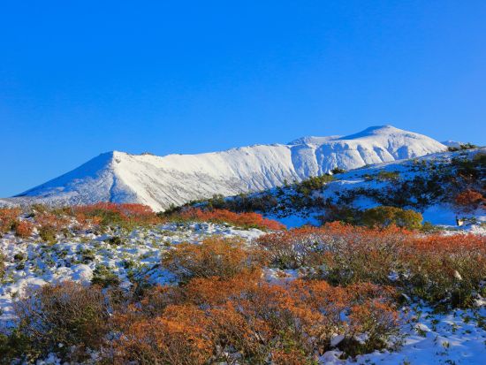 札幌発！大雪山旭岳ロープウェイ＋姿見の池ツアー アイヌの人々が「神々の庭」と呼んだ美しい高山エリアの紅葉鑑賞＜9〜10月／1名様から催行／札幌発＞