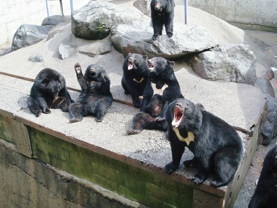 d6066710c8ae65136ed94add53325bf197a201ca56b0