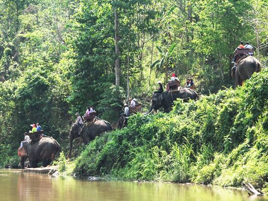 チェンマイ日帰りツアー　ドイステープ寺院＋首長族（カレン族）村＋象乗り体験＜昼食付き／日本語ガイド／往復航空券付き／バンコク発＞