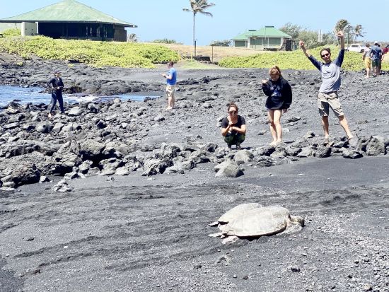 ハワイ島 島一周ツアー　観光スポットからショッピング、人気スイーツまで1日で満喫 ＜貸切／日本語ガイド＞