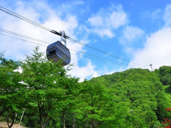 奥飛騨まるごとバリューきっぷ3日間プラン！ 新穂高ロープウエイ乗車券＋高山濃飛バスセンターから新穂高ロープウェイ間のバス乗り放題の乗車券＜高山市＞