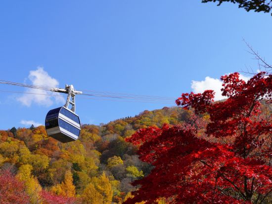 奥飛騨まるごとバリューきっぷ3日間プラン！ 新穂高ロープウエイ乗車券＋高山濃飛バスセンターから新穂高ロープウェイ間のバス乗り放題の乗車券＜高山市＞