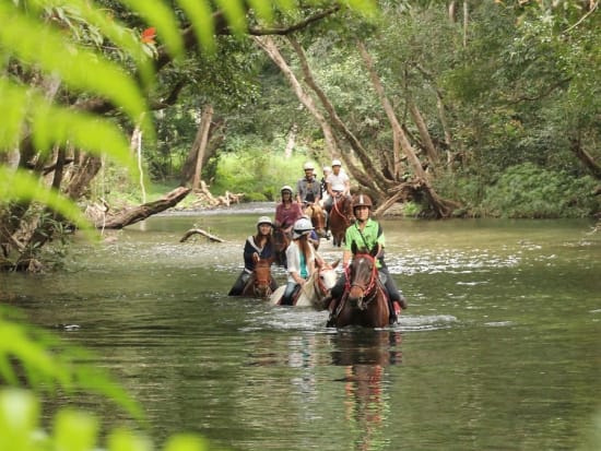 乗馬ツアー　世界最古の熱帯雨林や川の中を散歩しながらケアンズの大自然を満喫！＜約90分／英語ガイド＞by Mount-n-Ride Adventures