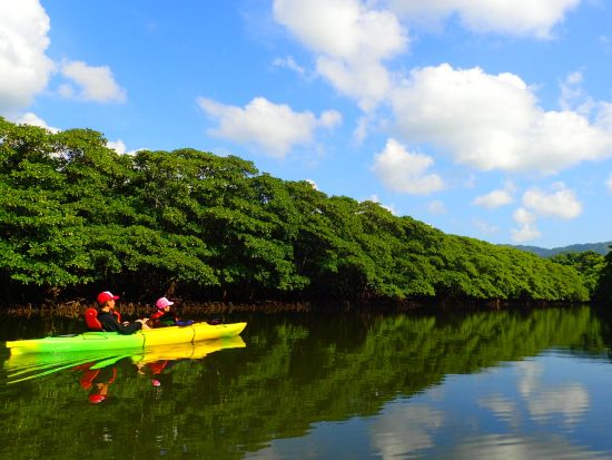 西表島マングローブカヌー＋由布島観光ツアー 世界自然遺産に登録された川でカヌー体験！水牛車でゆっくり観光も＜昼食付／石垣島発＞