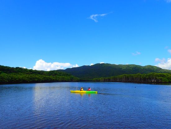 西表島マングローブカヌー＋由布島観光ツアー 世界自然遺産に登録された川でカヌー体験！水牛車でゆっくり観光も＜昼食付／石垣島発＞