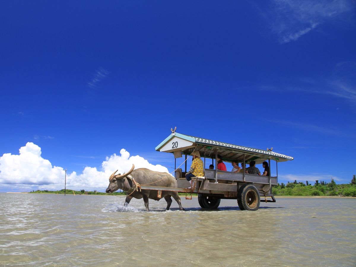 SUP（スタンドアップパドル） | 石垣島・八重山 旅行の観光