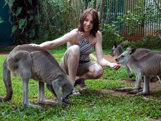 世界遺産キュランダ（鉄道＆スカイレール＆レインフォレステーション）1日観光ツアー ＜昼食付き／英語ガイド＞