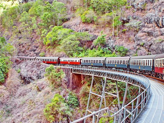 Australia_Cairns_Kuranda Rainforest_shutterstock_419894968