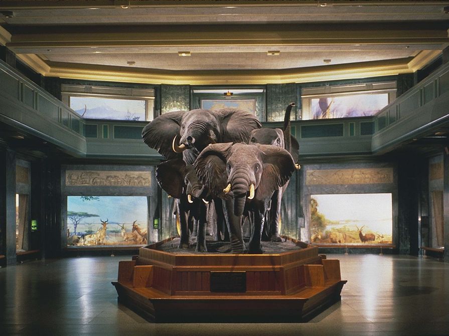 アメリカ自然史博物館 | ニューヨーク 旅行の観光・オプショナルツアー