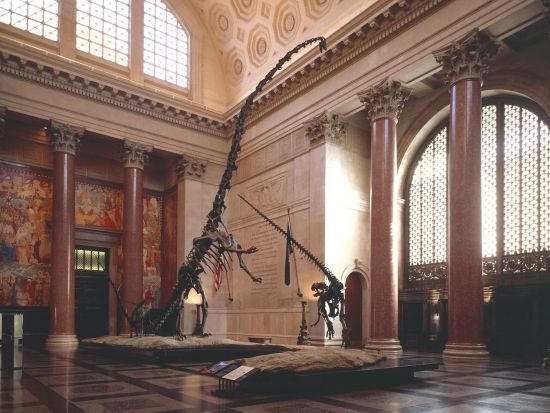 アメリカ自然史博物館「American Museum Of Natural History」　入場チケット事前予約