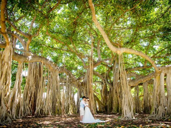 ハワイ　ビーチフォト　カハラビーチ＋カピオラニ公園　お持ち込み無料！お気に入りのドレスや小物で撮影可能♪（撮影・衣装・メイク）