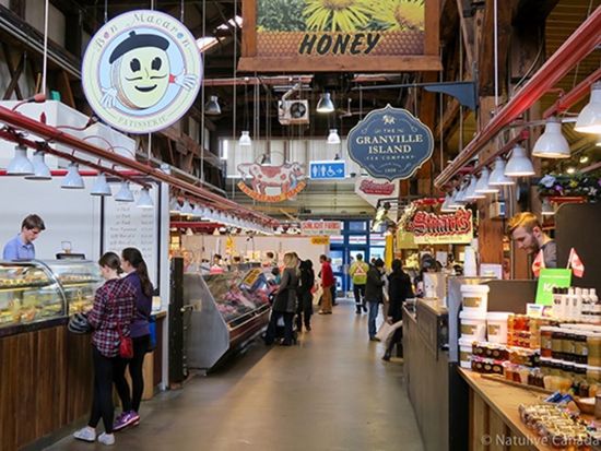 バンクーバー　日本語ガイド貸切ツアー ＜3時間＞