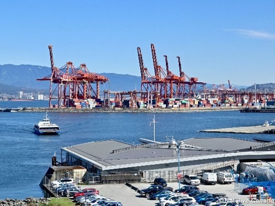 Translink-Seabus-600