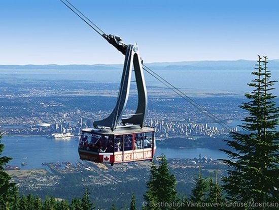 バンクーバー1日観光ツアー　キャピラノ吊り橋＆グラウス・マウンテン＆ギャスタウン＆ロンズデールキー・マーケット ＜シーバス＆市バス1日券付き／日本語ガイド＞