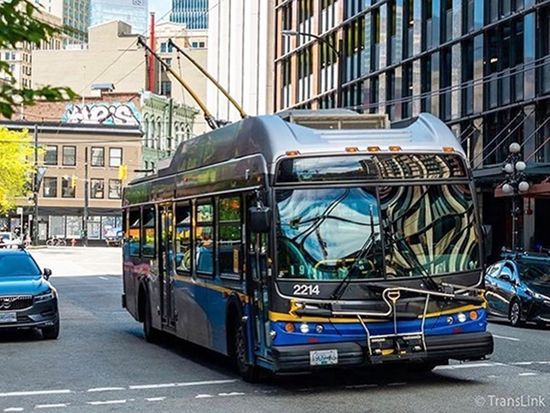 Translink-Bus-02-600