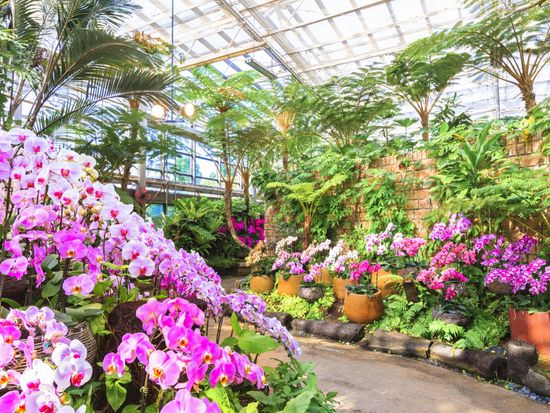 19ac1a3ad2370459db229971930dfdd1