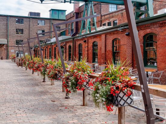 トロント ディスティラリー地区　ウォーキングツアー ＜英語ガイド＞