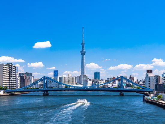 20220603011522_355075011_13518_0