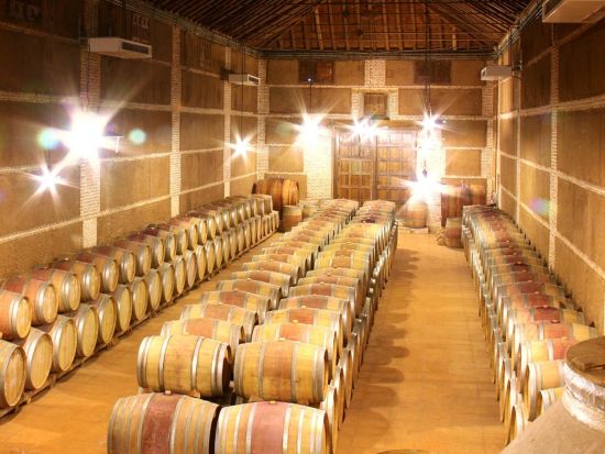 世界遺産トレド観光＆ワイナリーツアー　トレドの名所街歩き＆カスティーリャ・ラ・マンチャの有名ワイナリー見学 ＜タパスとワイン試飲3種付き／マドリード発＞