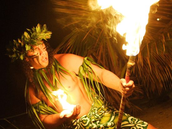 ステージにてフラ披露＋伝統ルアウ＆ハワイアンショー　有名ルアウのステージでフラを踊る特別な体験！＜貸切／14～24名／カポレイ地区／日本語ガイド＞