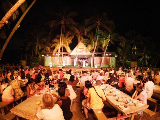 ステージにてフラ披露＋伝統ルアウ＆ハワイアンショー　有名ルアウのステージでフラを踊る特別な体験！＜貸切／14～24名／カポレイ地区／日本語ガイド＞