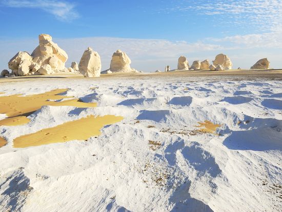 AdobeStock_229584916