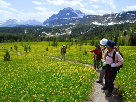 世界遺産カナディアンロッキー　日帰りハイキングツアー ＜5～10月／日本語ガイド＞by バンフトップツアーズ