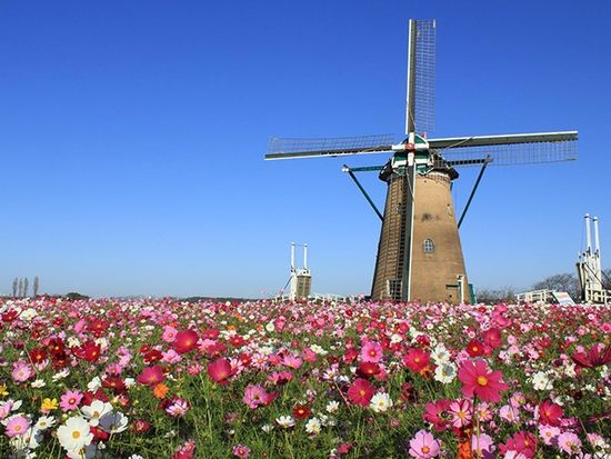 sakura_furusato_hiroba_735_480_003