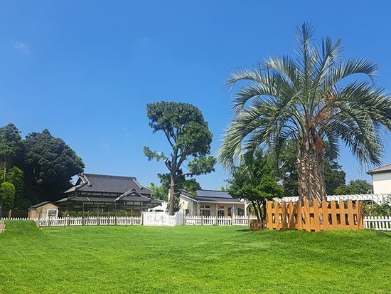 img_mirainosato_sakura_dogrun_735_480_001