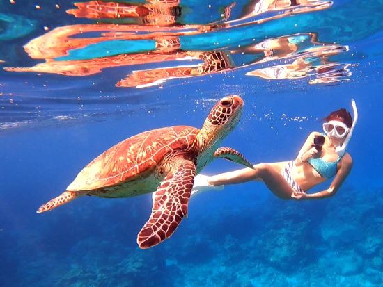 ケラマ体験スキンダイビングツアー 話題のスキンダイビングでマーメイド気分♪カラフルな魚やウミガメに出会えるチャンス＜半日／初心者OK／那覇発＞