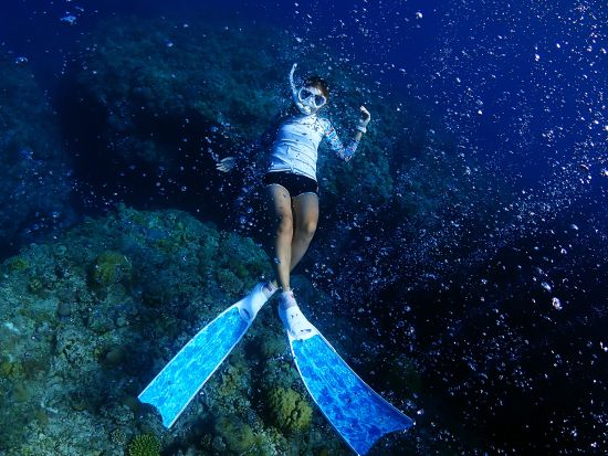 ケラマ体験スキンダイビングツアー 話題のスキンダイビングでマーメイド気分♪カラフルな魚やウミガメに出会えるチャンス＜半日／初心者OK／那覇発＞