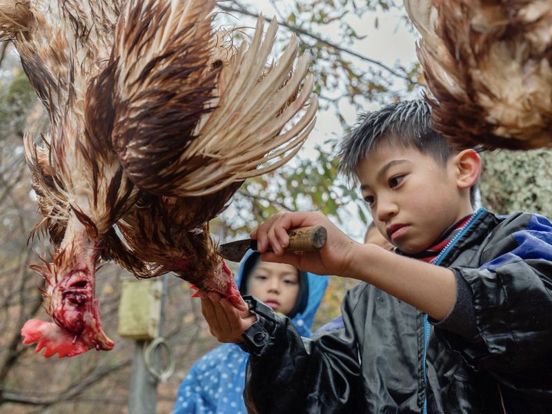 1a878231c88c12c016d9724a1f502a8f-scaled