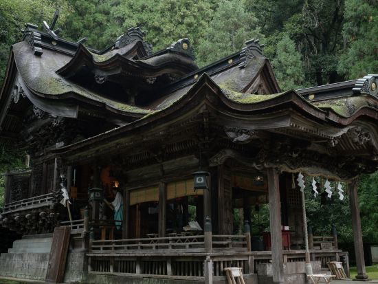 越前ものづくり工房見学ツアー 柳瀬良三製紙所+長田製紙所+岡太神社・大瀧神社 7歳から参加OK＜3時間／越前市＞