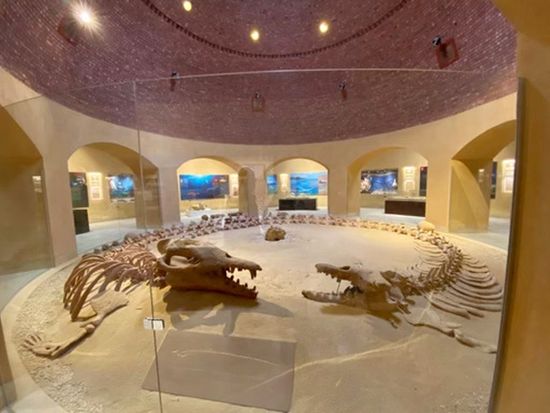 化石と気候変動博物館