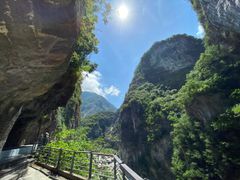 Swallow Grotto (1)