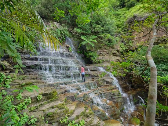 ジャングルシャワートレッキング 話題沸騰中の"奥ゲータの滝"へハイキング！ リアルなジャングル体験で絶景テラスへ＜約3時間30分／送迎付／西表島＞