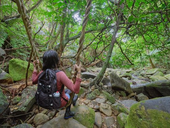 ジャングルシャワートレッキング 話題沸騰中の"奥ゲータの滝"へハイキング！ リアルなジャングル体験で絶景テラスへ＜約3時間30分／送迎付／西表島＞