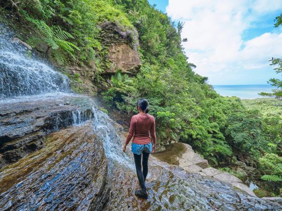 ジャングルシャワートレッキング 話題沸騰中の"奥ゲータの滝"へハイキング！ リアルなジャングル体験で絶景テラスへ＜約3時間30分／送迎付／西表島＞