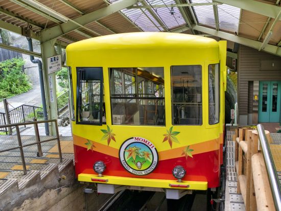 野外抹茶体験  高尾山の自然の中で抹茶を点てる野点ツアー＜午前・午後／6歳～／4時間＞