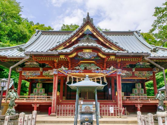 野外抹茶体験  高尾山の自然の中で抹茶を点てる野点ツアー＜午前・午後／6歳～／4時間＞