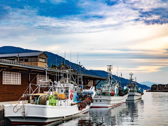 越前漁港_IMG_1653_202_10831+-越前町観光連_盟