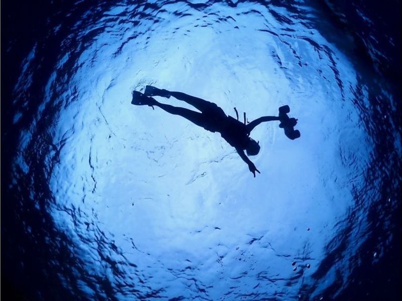 11000004946603_bwjGYwyi_4