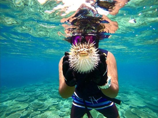 11000004946605_vbEKm8vY_4