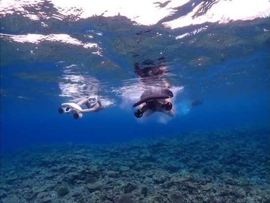 10000004946601_bwjGYwyi_4