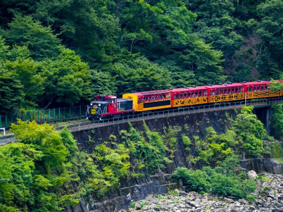 大阪発日帰りツアー 【数量限定】嵯峨野トロッコ列車と嵐山屋形船、清水寺を巡る 京都優雅紀行 嵐山の四季彩る風景、屋形船で味わう京の風情、世界遺産・清水寺の絶景