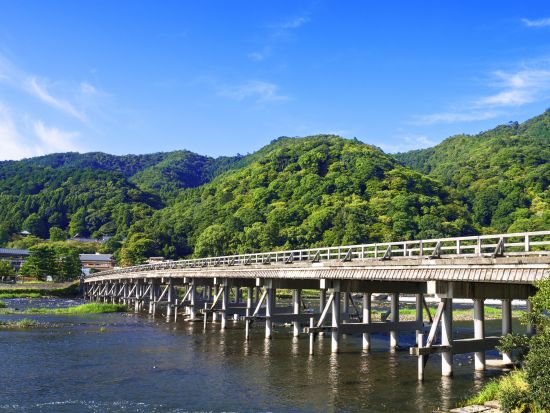 大阪発日帰りツアー 【数量限定】嵯峨野トロッコ列車と嵐山屋形船、清水寺を巡る 京都優雅紀行 嵐山の四季彩る風景、屋形船で味わう京の風情、世界遺産・清水寺の絶景